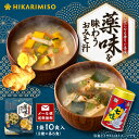 【メール便・送料無料】インスタント味噌汁 薬味を味わうおみそ汁 10食 粉末 フリーズドライ味噌 即席 生姜 七味 個包装 2種セット 信州味噌 ピリ辛 温活 薬味 ダイエット 時短 ランチ 職場用 自宅用 海外旅行持ち運び 便利 スープセット 常温保存 おいしい ひかり味噌