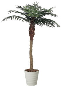 G} ϗtA@̊y tFjbNX 2.1m@lHϗtA ^ tFCNO[