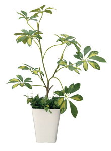 G}@̊y VFt 68cmytFCNO[ lHϗtA ԁz