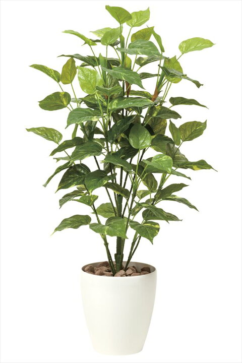 楽天市場 光触媒 光の楽園ポトス1 0m フェイクグリーン 人工観葉植物 花と観葉植物の専門店 光の楽園