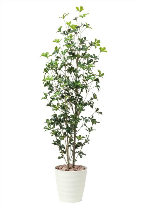 楽天市場】光の楽園 人工観葉植物シェフレラツリー 高さ1.7m※光触媒 