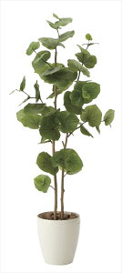 G}@̊y V[O[v1.25m tFCNO[ lHϗtA