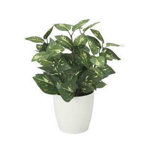 G} ̊y |gXM  CeA tFCN O[(2103K35)