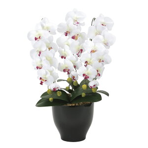 光触媒 胡蝶蘭 造花の人気商品・通販・価格比較 - 価格.com