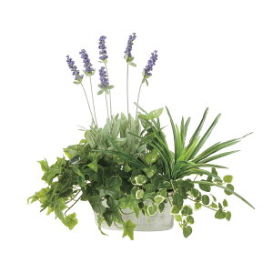 G} ̊y ZAGx_[  CeA tFCN O[(2349A100)