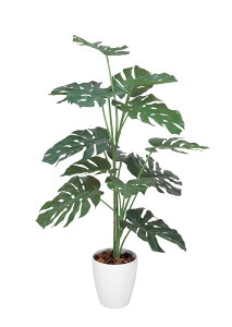 G} ̊y Xe1.2m tFCNO[ lHϗtA(369K220)ybsOsz