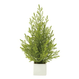 G} ̊y ~jS[hNXg(|)  CeA tFCN O[(634K25)ybsOsz