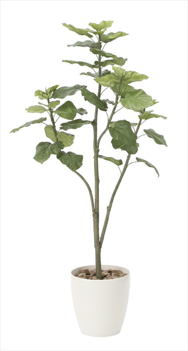 楽天市場 光触媒 人工観葉植物光の楽園 ウンベラータツリー1 5mインテリア フェイクグリーン 花と観葉植物の専門店 光の楽園
