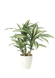 G} ̊y KmS tFCNO[ lHϗtA(829K135)ybsOsz