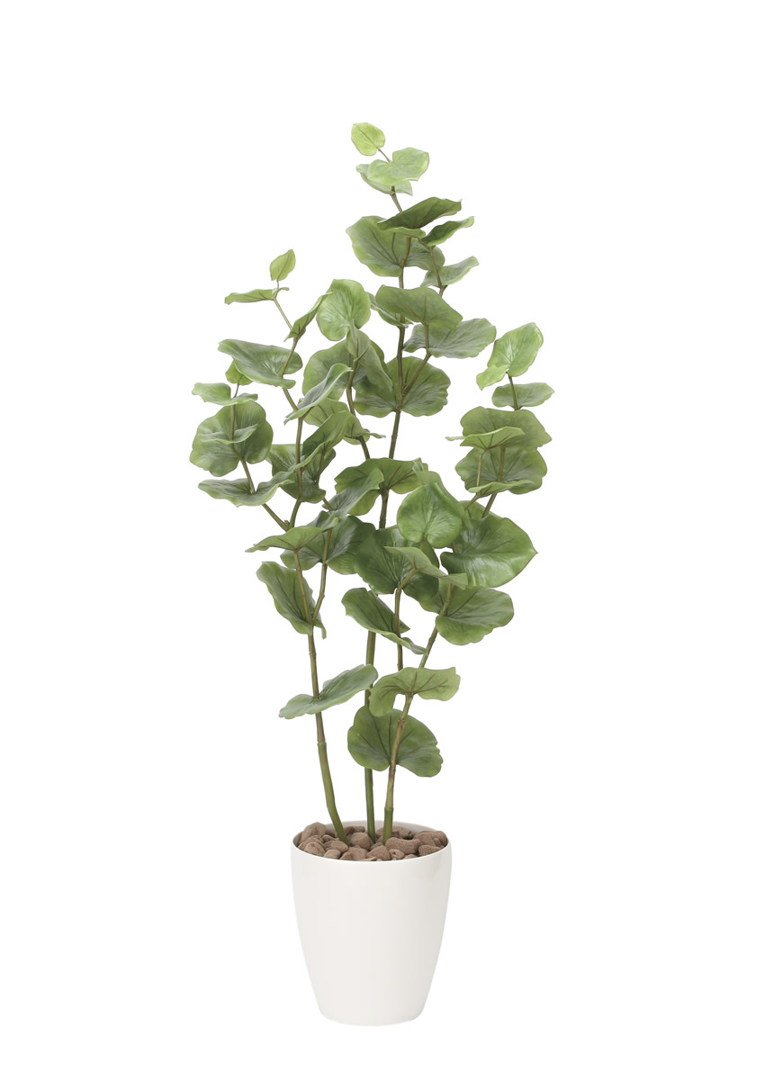 人工観葉植物 光の楽園 トネリコ 1.8m 観葉植物 | www.vinoflix.com