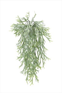 ̊y X^bNz[Ǌ|E[XE^yXg[