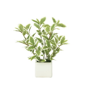 G} ̊y ~j[tG/W  CeA tFCN O[(935K28)ybsOsz