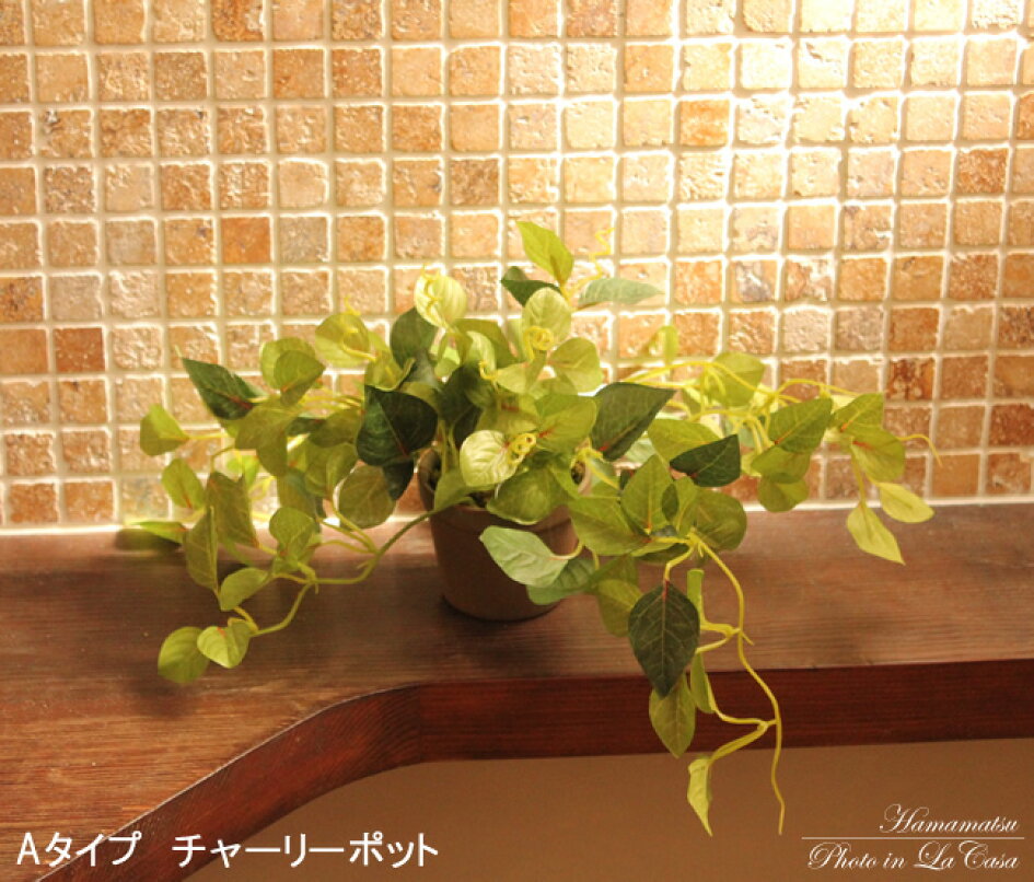 光の楽園 光触媒 人工観葉植物 ウォールグリーン フェイクグリーン 