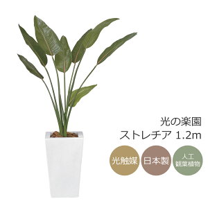 G}@̊y Xg`A 1.2mytFCNO[ lHϗtA Xg`Az