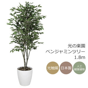 G} ̊y xW~c[ 1.8m tFCNO[ ^ lHϗtA(157K520)ibsOsj