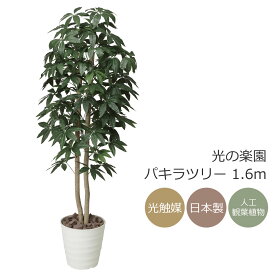 光触媒 光の楽園 パキラツリー 1.6m フェイクグリーン 人工観葉植物(170K310)【ラッピング不可】