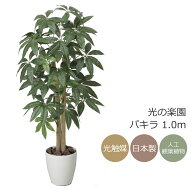 光触媒 光の楽園 パキラ 1.0m【インテリア フェイクグリーン 人工観葉植物】(199P165)（※ラッピング不可）