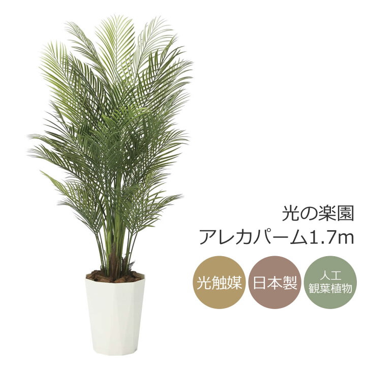 楽天市場】光触媒 光の楽園 アレカパーム1.7（ポリ製） インテリア  