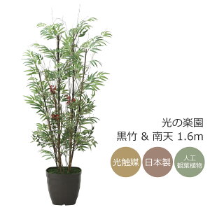 G} ̊y |&V1.6m tFCNO[ ^ lHϗtA(2010K300)ibsOsj