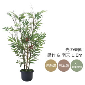 G} lHϗtÅy |&V  1mCeA tFCNO[