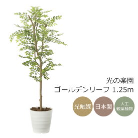 光触媒 人工観葉植物光の楽園 ゴールデンリーフ 高さ 1.25mインテリア フェイクグリーン