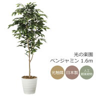 光触媒 人工観葉植物光の楽園 ベンジャミン 高さ 1.6mインテリア フェイクグリーン