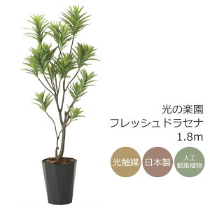 G} lHϗtÅy tbVhZi  1.8mCeA tFCNO[ ^