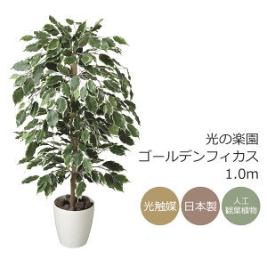 G}@̊y S[ftBJX 1.0m tFCNO[ lHϗtA