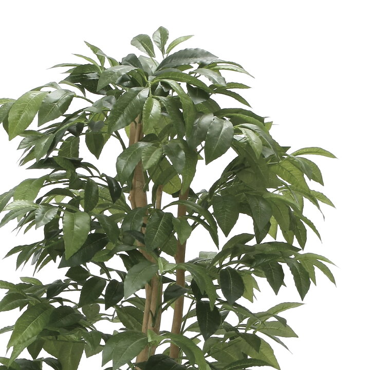 楽天市場】光触媒 人工観葉植物光の楽園 アルデシア(万両) 高さ 1.3m 