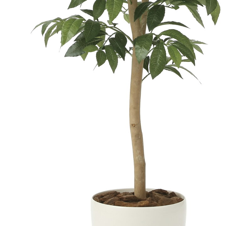 楽天市場】光触媒 人工観葉植物光の楽園 アルデシア(万両) 高さ 1.3m 