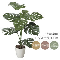 光触媒 フェイクグリーン 光の楽園 モンステラ 1.0m 人工観葉植物【ラッピング不可】