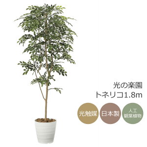 G} ̊y glR1.8m@CeA tFCNO[ ^ lHϗtA (2094P380)ibsOsj