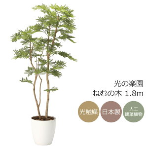 G} lHϗtÅy ˂ނ̖  1.8mCeA tFCNO[ ^