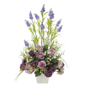 G} ̊y \tBAx_[yA[gt[ ԁz(2113P100)ibsOsj