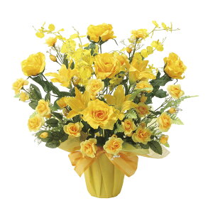 G} ̊y S[fQ[gyA[gt[ ԁz(2120M100)