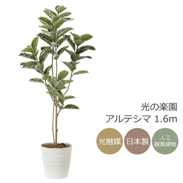 楽天市場】光触媒 光の楽園 アルテシマ 1.6m フェイクグリーン 大型 