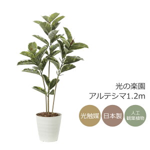 G} ̊y AeV}1.2myCeA tFCNO[ lHϗtAz(2221P200)ibsOsj