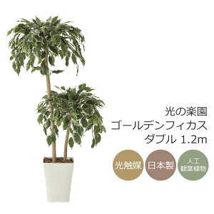 G} ̊y S[ftBJX_u 1.2m tFCNO[ lHϗtA(2282A200)