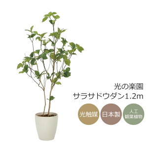 G} ̊y TThE_1.2m tFCNO[ lHϗtA(2323A210)ybsOsz