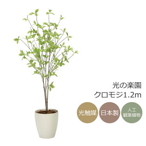 G} ̊y NW1.2m tFCNO[ lHϗtA(2324A200)ybsOsz