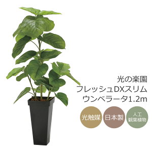 G} ̊y tbVDXXEx[^1.2m tFCNO[ lHϗtA(2326A300)ybsOsz