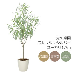 G} ̊y tbVVo[[J1.7m tFCNO[ ^ lHϗtA(2330A500)ibsOsj