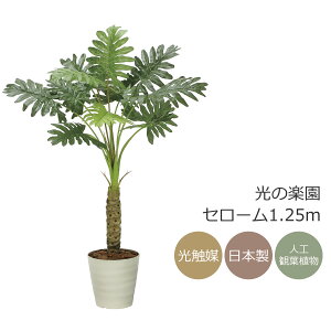 G} ̊y Z[1.25m tFCNO[ lHϗtA(2341A170)ybsOsz