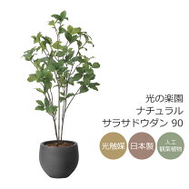 楽天市場】サラサドウダン（人工観葉植物｜造花・人工観葉植物）：花 