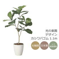 楽天市場】フェイクグリーン カシワバゴムの通販