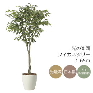 G} ̊y tBJXc[1.65@CeA tFCNO[ ^ lHϗtA (2435A290)ibsOsj