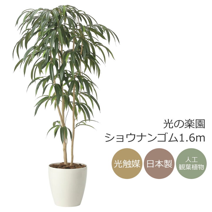 楽天市場】光触媒 人工観葉植物光の楽園 ショウナンゴム 高さ 1.6m 