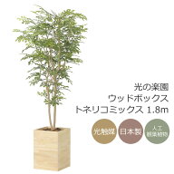 光触媒 光の楽園 ウッドボックストネリコミックス1.8　インテリア フェイクグリーン 大型 人工観葉植物 (…