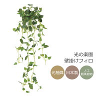 光触媒 光の楽園 壁掛けフィロ 卓上 インテリア フェイク グリーン(2489A45)【ラッピング不可】