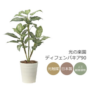 G} ̊y fBtFoLA90yCeA tFCNO[ lHϗtAz(2491A100)ybsOsz